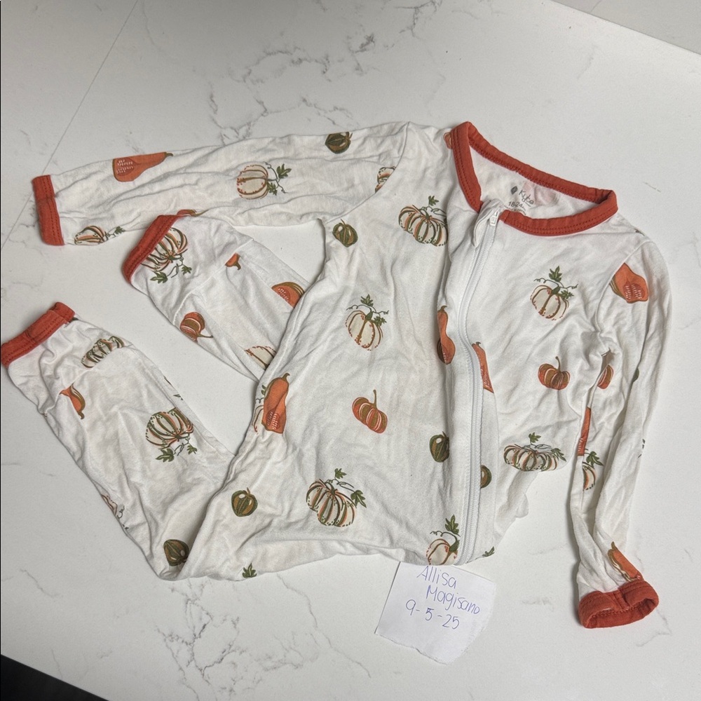 Kyte baby Pumpkin Print